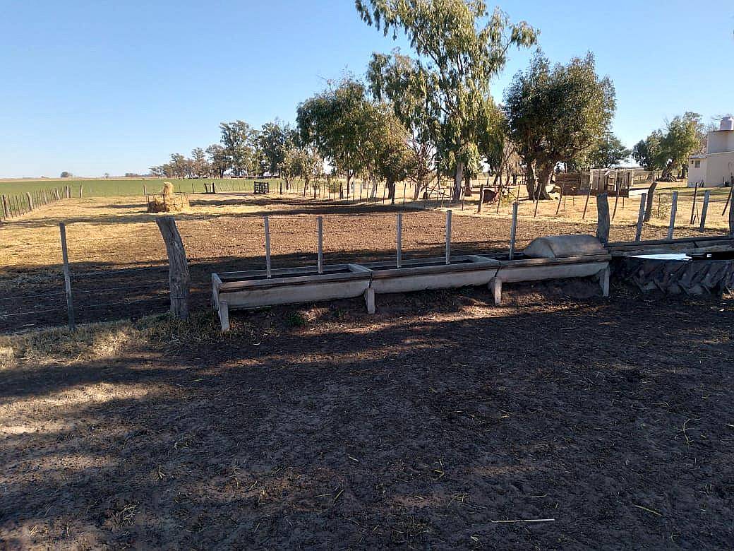 Campo Mixto Partido de Tres Lomas
