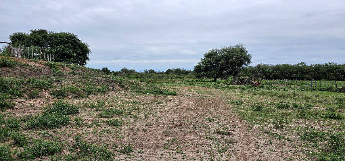 550ha Agroganaderas en Castelli, Chaco