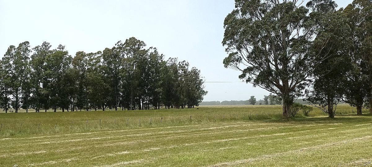 Balcarce Prov Buenos Aires