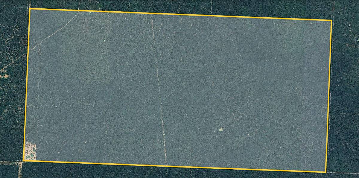 1250ha Agricolaganaderas en Taco Pozo, Chaco