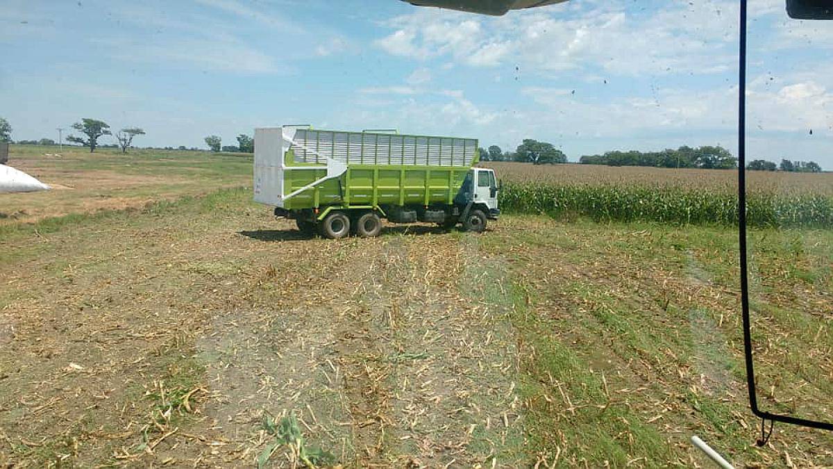 Servicio de Picado de Forrajes Agroads