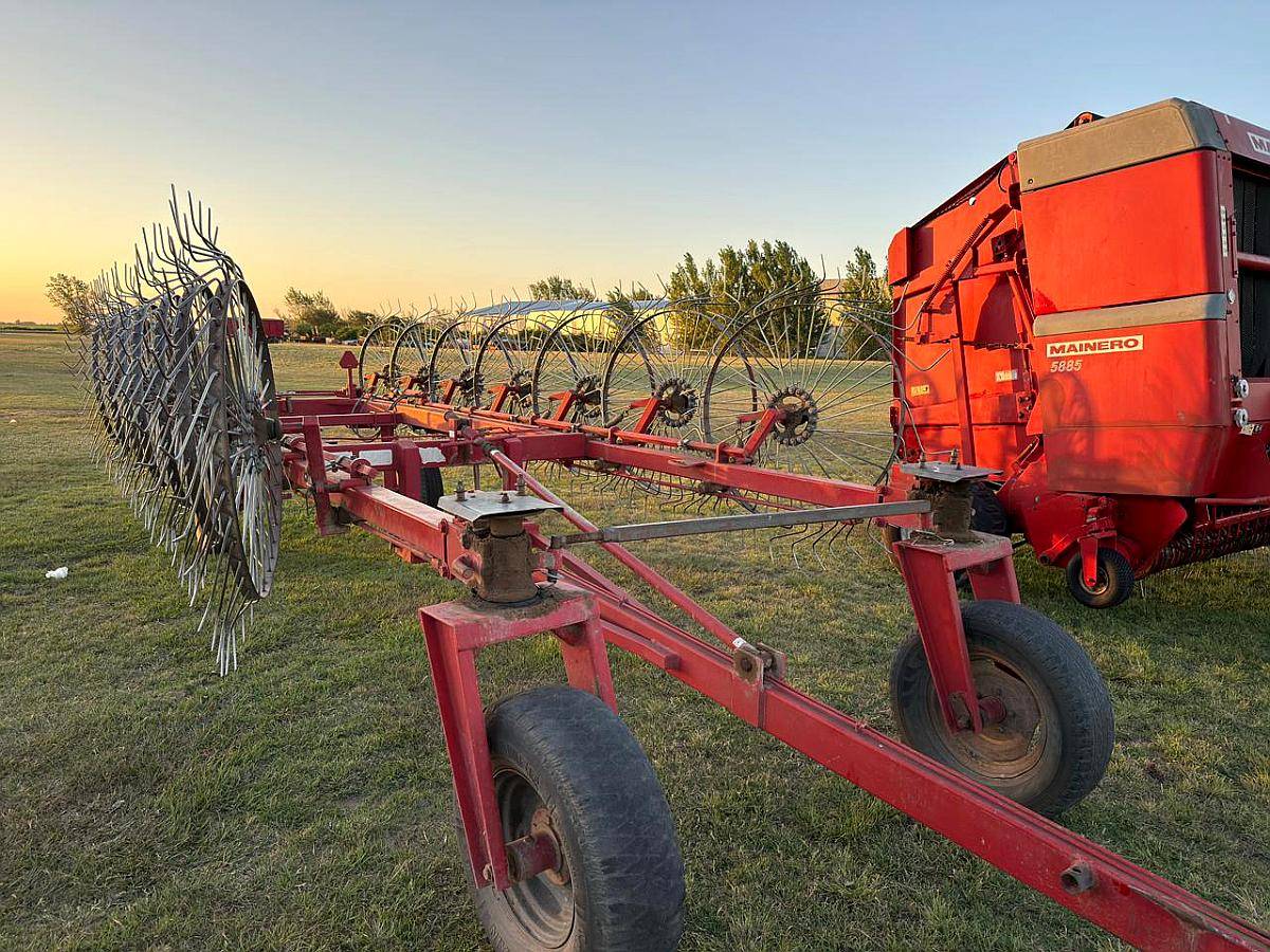 Rastrillo Baima 14 Estrellas