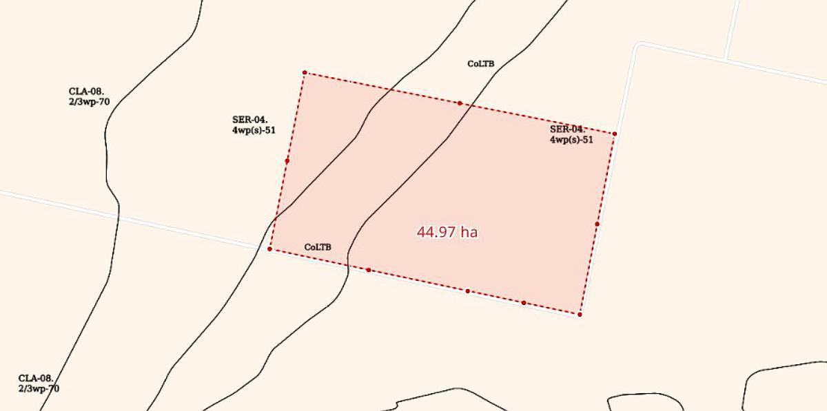 45 Has Agrícolas en Centeno (santa FE)