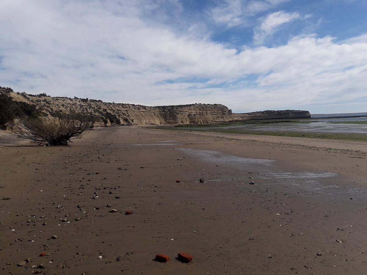 Campo en Peninsula Valdes Chubut 10.000 Ha Costa al MAR