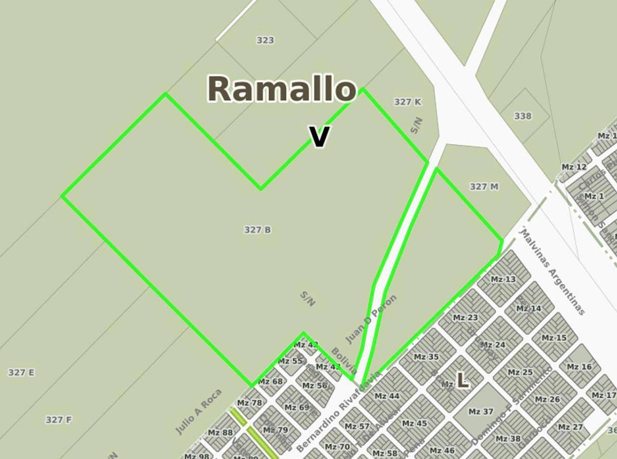 Campo 52 Has, Ramallo(b)