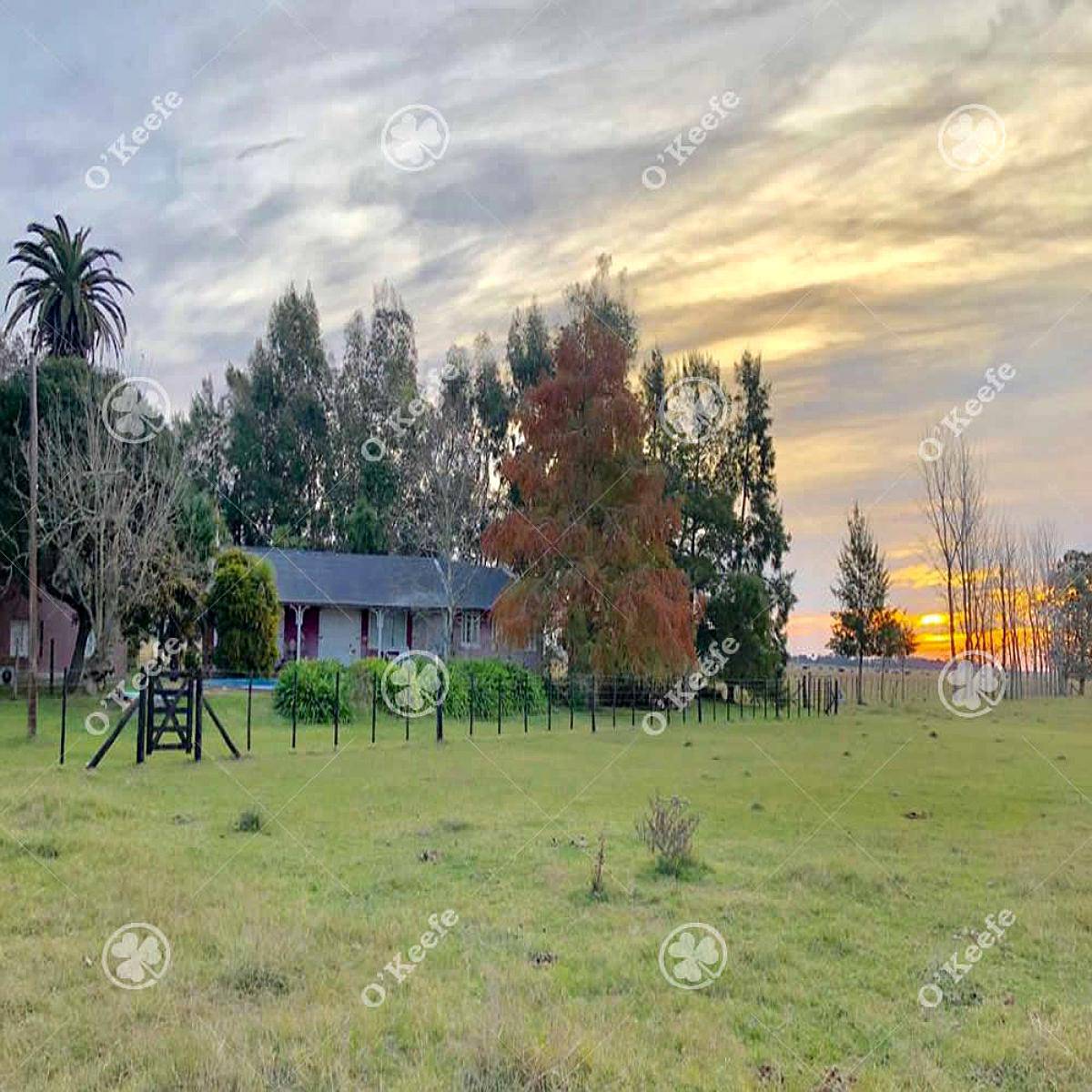 Campo 130 Has en Venta Chascomus.ideal Cria de Caballos