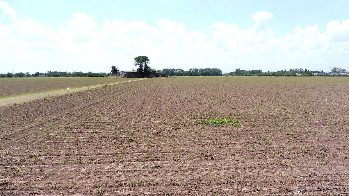 San Nicolás, Buenos Aires - 40,8 Ha