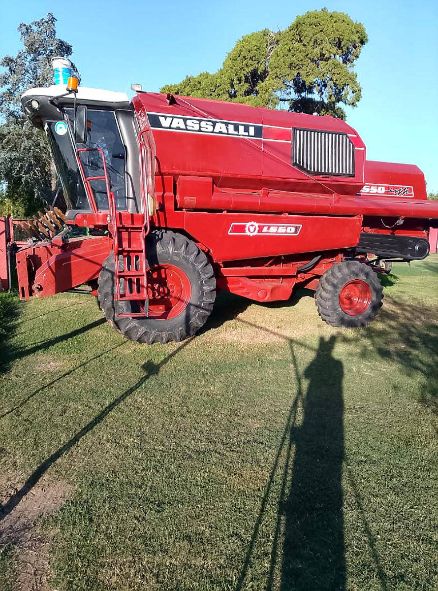 Vassalli 1550. año 2005.