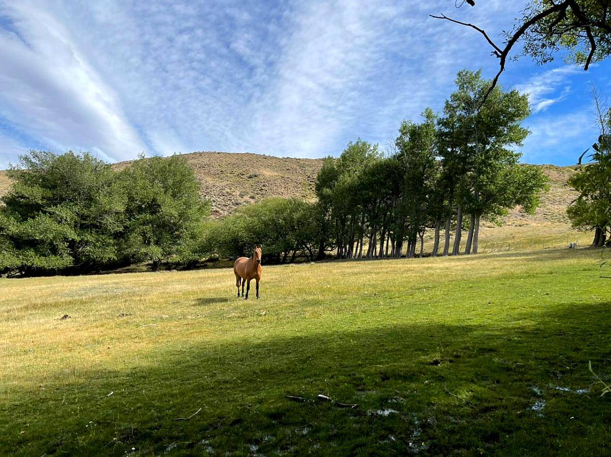 Estancia 26.000 Ha Santa Cruz Zona Perito Moreno