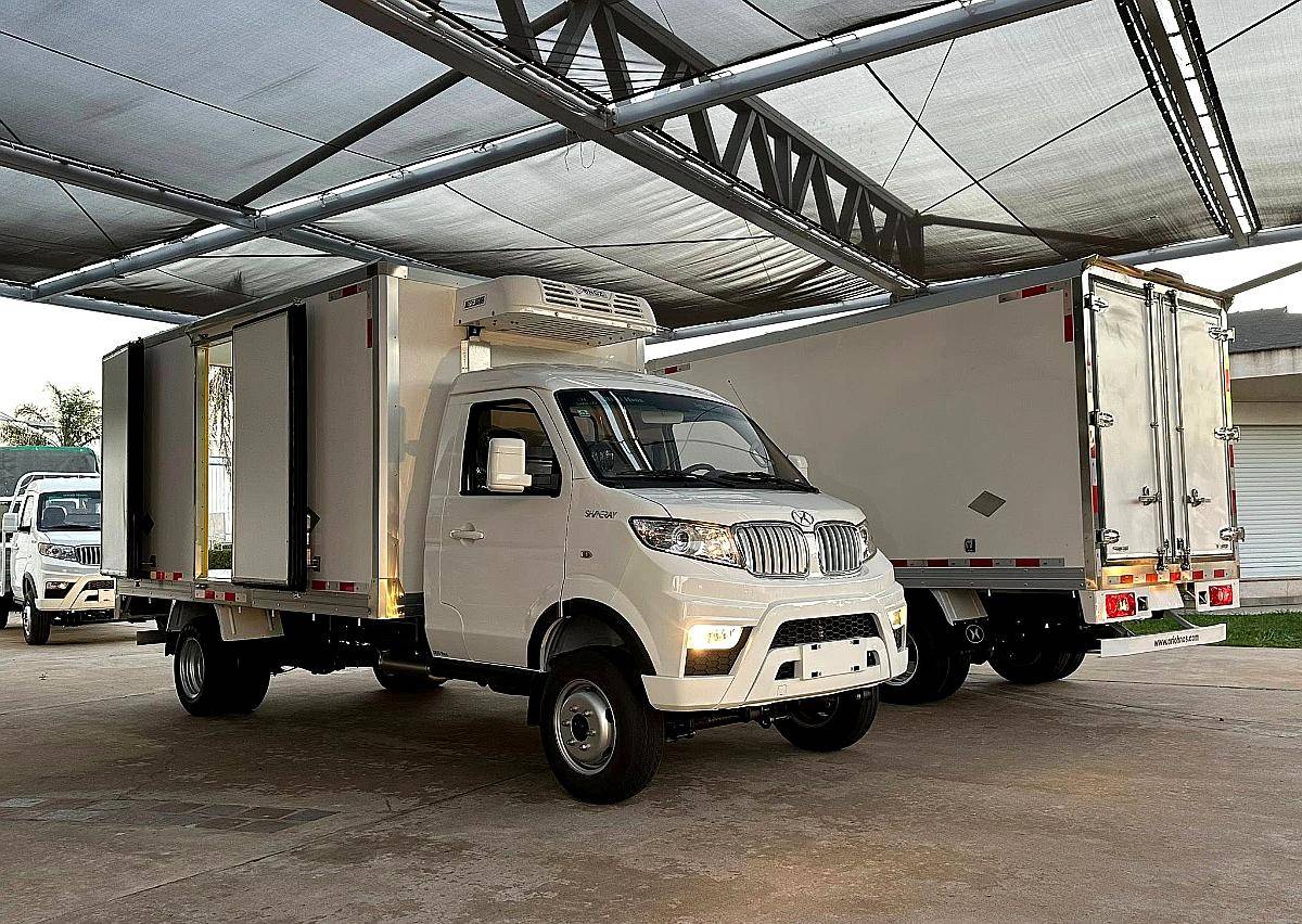 Shineray T30 C/S CH con Duales con Furgon Refrigerado -18