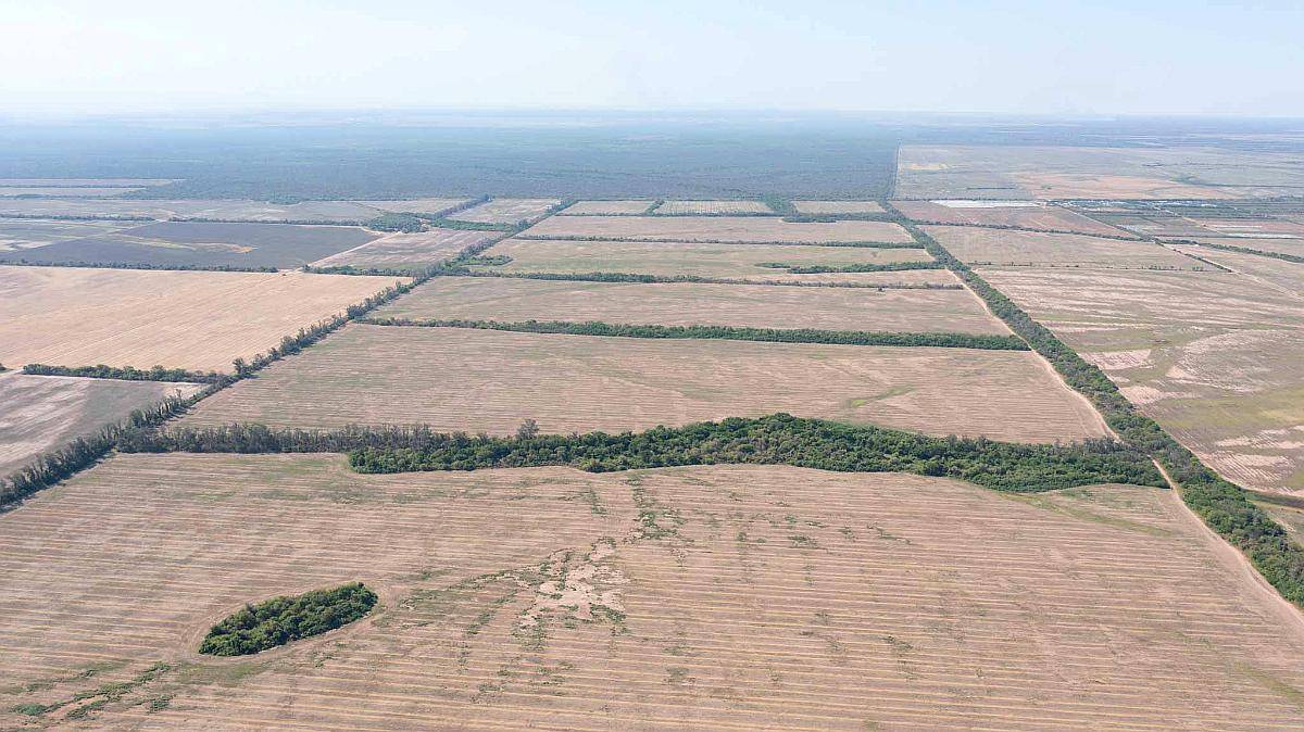 Pcia. de Salta - Embarcacion 1370 Has