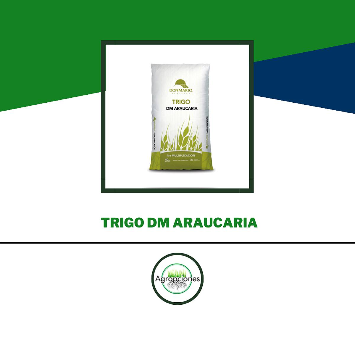 Semilla de Trigo Araucaria- Don Mario
