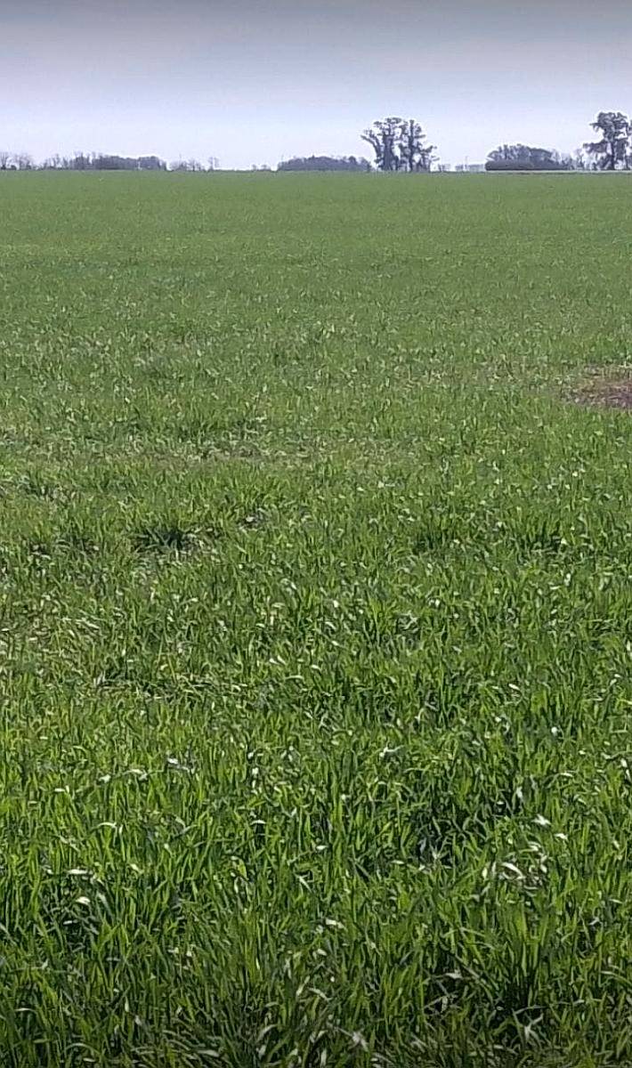 Vendo Campo Mixto Suelo 3 en Santa FE