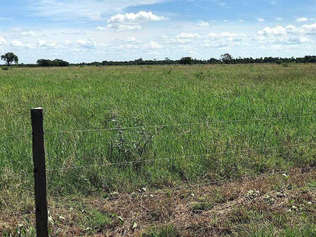 Estancia Ganadera Cría Desarrollada Mejoras Pasturas