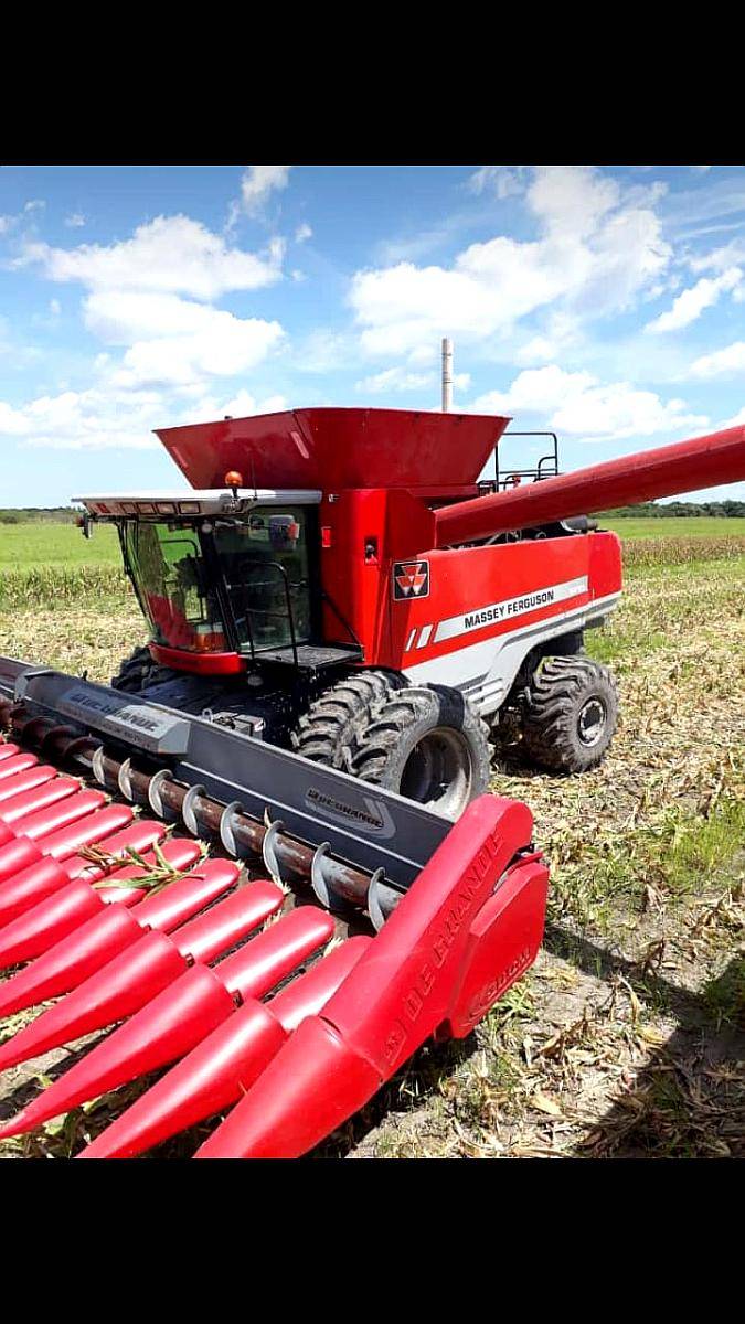 Cosechadora 9895 Massey Fergusson con Draper de 40 Pies