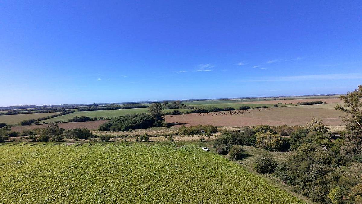 Campo Mixto 49 Hectáreas