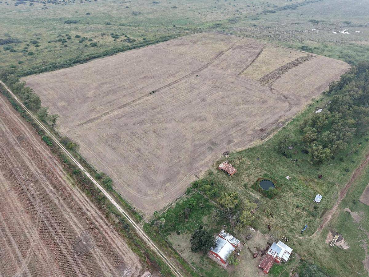 878 HA. Ganadero, Cria. Depto, San Martin (santa FE)