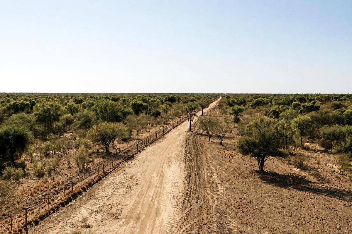 Guanaco Muerto, Cruz del Eje, Córdoba - 4.500 Ha