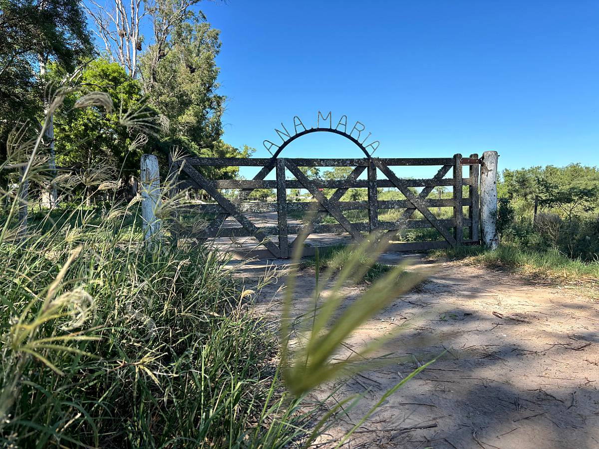 Venta Campo San Cristóbal, Santa FE. 1.280 HA.