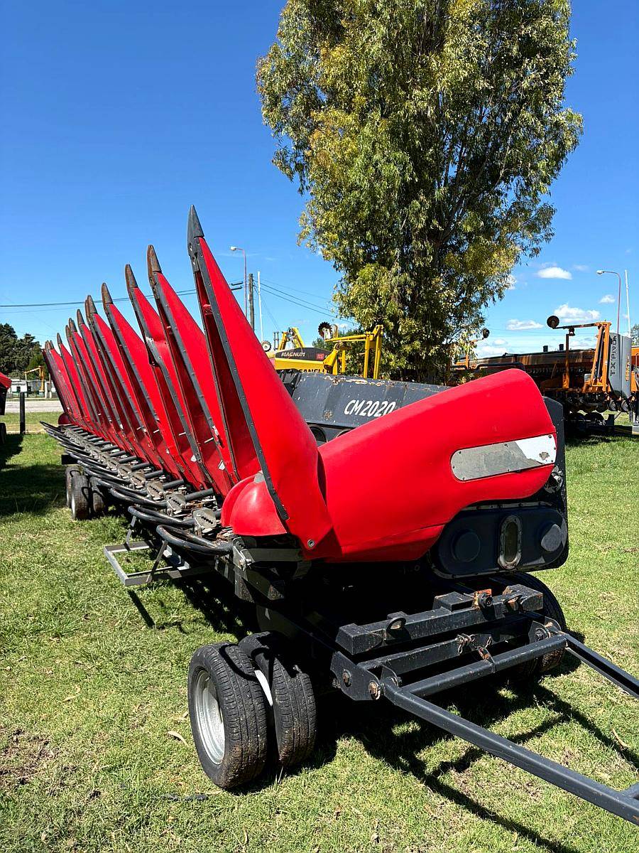 Maicero 16/52 Ombu cm 2020