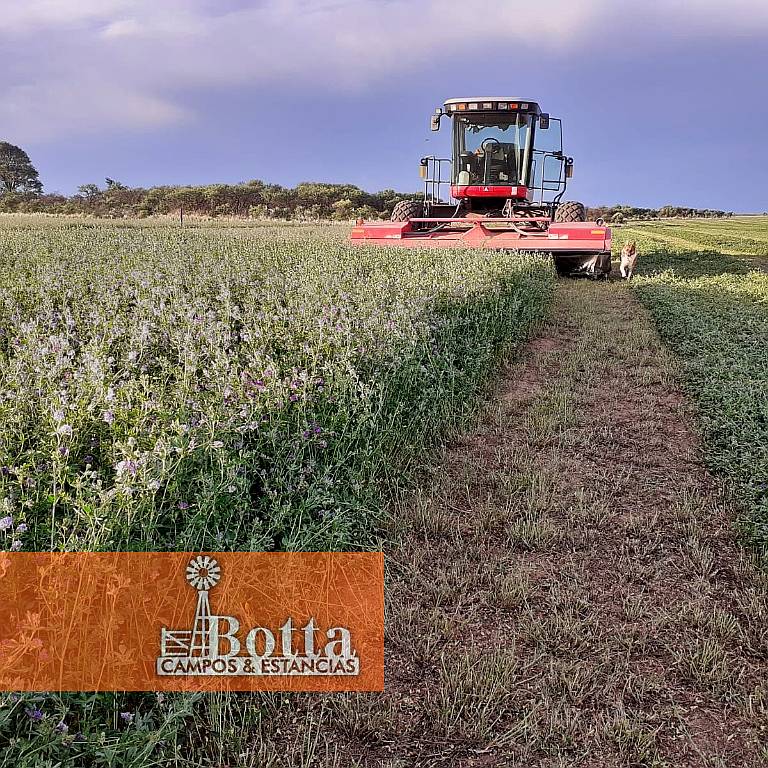 Campo Alfalfero en Venta — 1.220 Has Batavia, San Luis