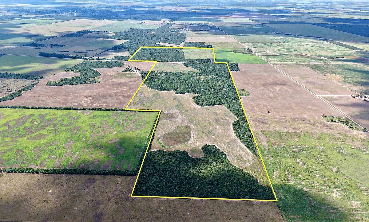 134 Has en Venta - Pcia del Chaco, Campo Largo