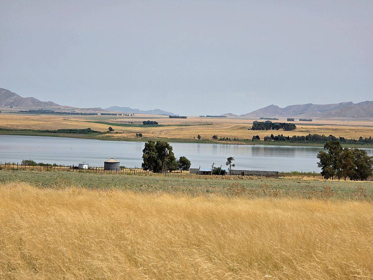 154 Has en Dique Paso de las Piedras