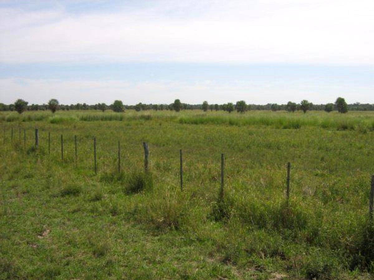 F0041 Venta Ganadero 2000 Has Pilcomayo, Formosa