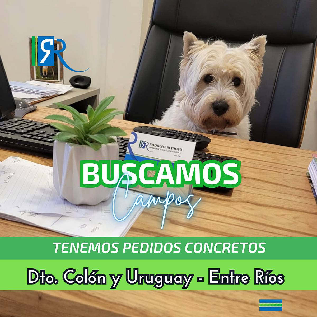 1 Buscamos Campos en Entre Ríos