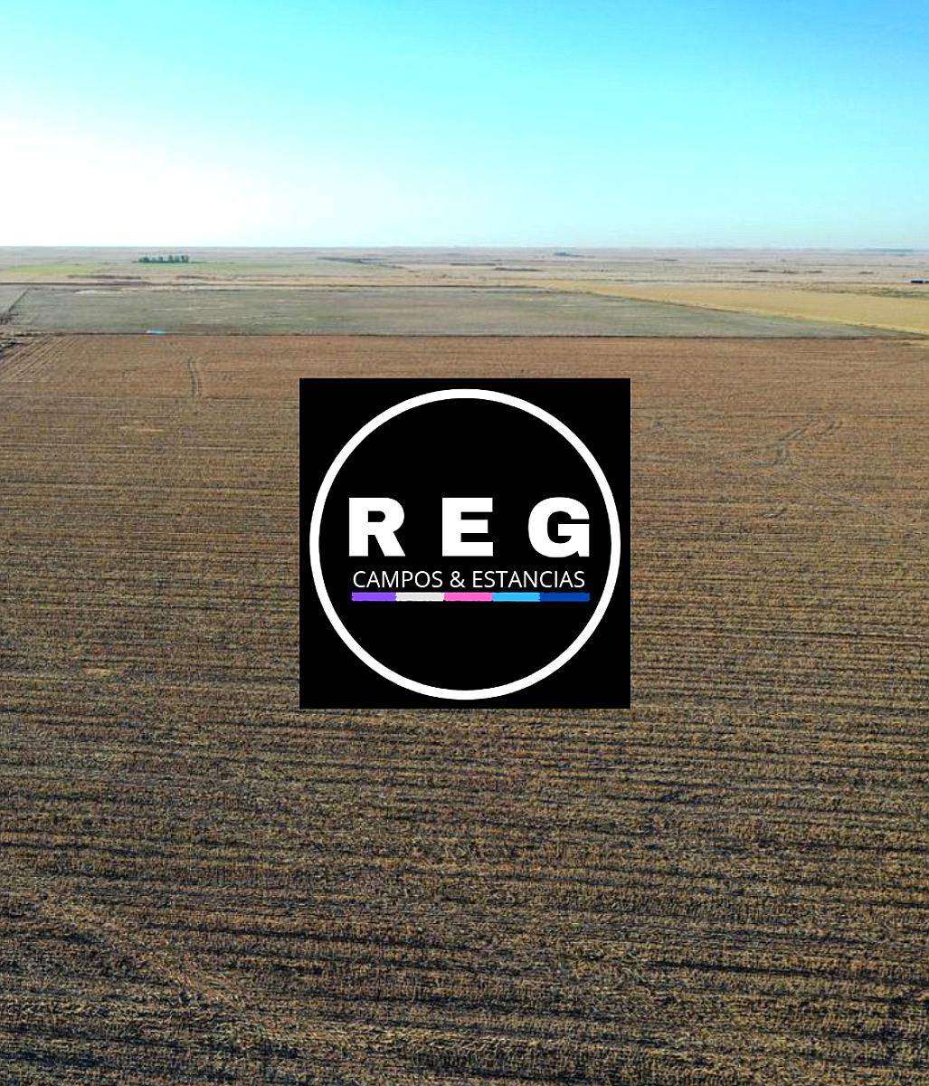 300 Hectáreas en Santa Rosa-la Pampa