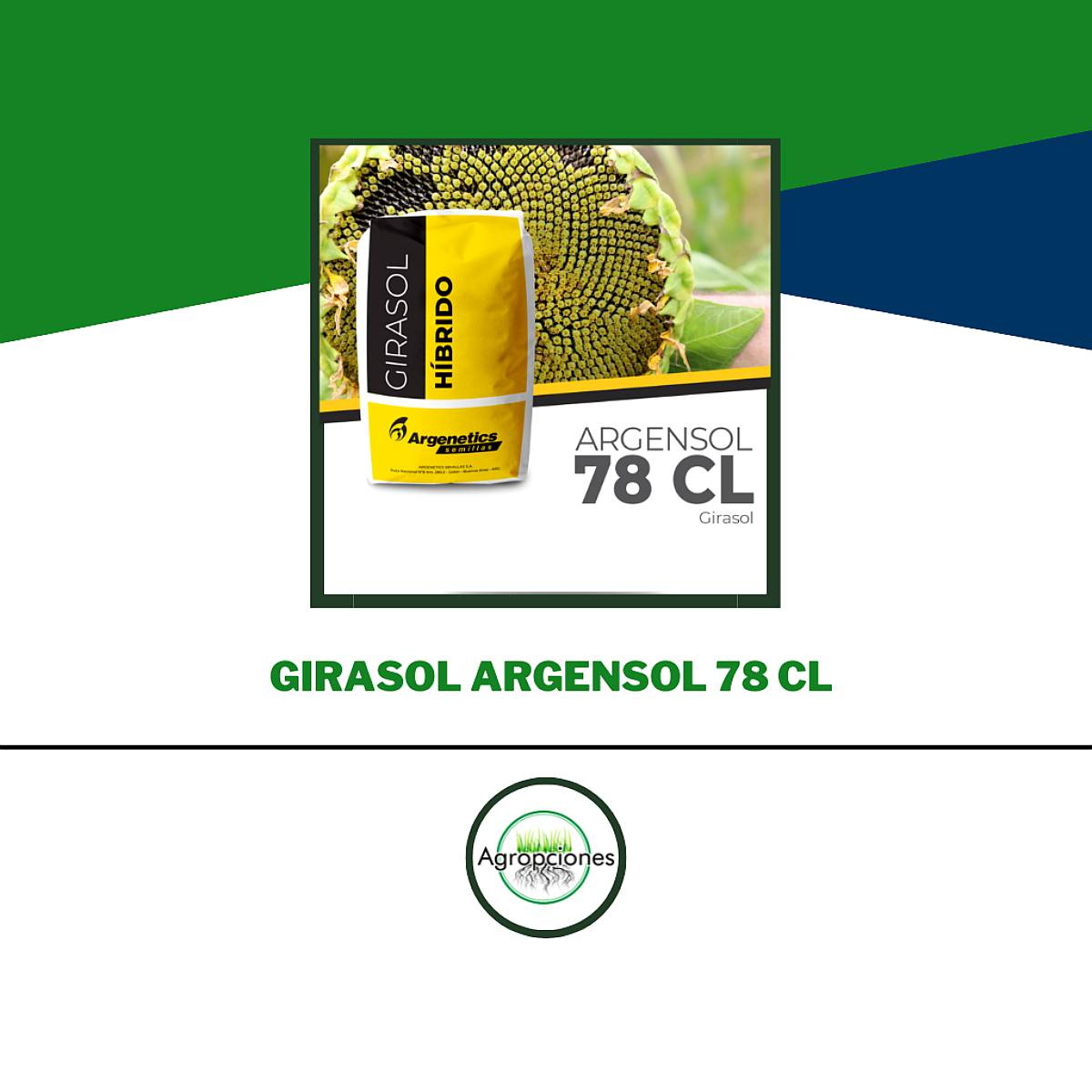 Semilla de Girasol Argensol 78 CL - Argenetics