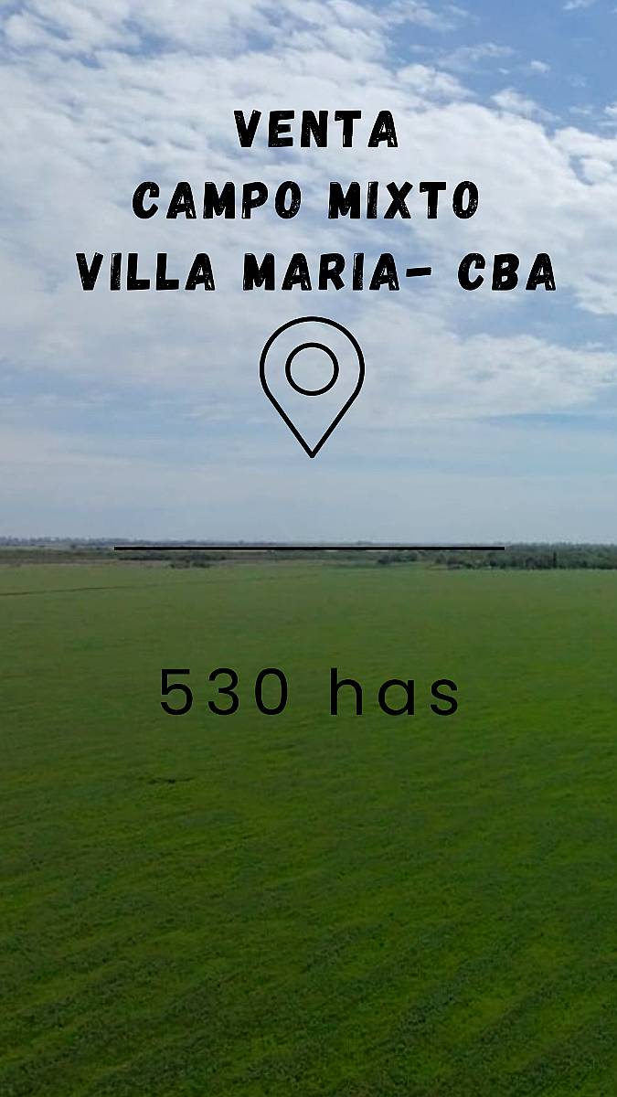 Venta- 530 Has en Villa María- CBA