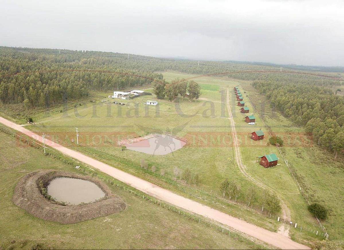 Excelente Campo 13 Has con Cabañas en Maldonado, Uruguay