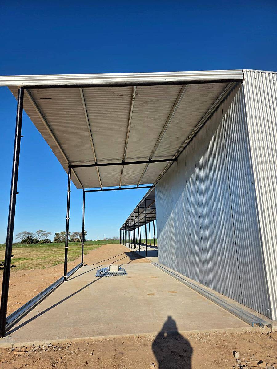 Galpones para Granja de Ponedoras