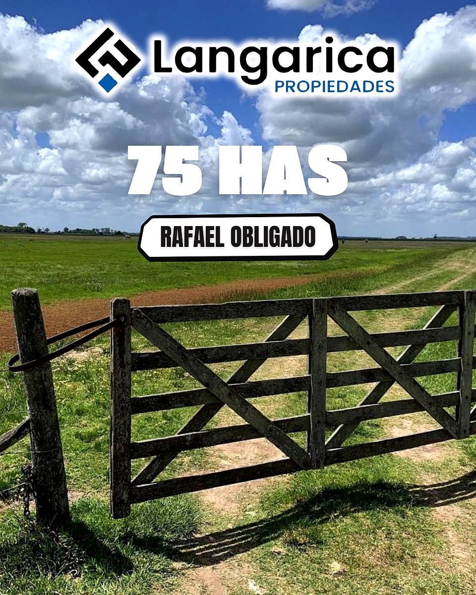 75 Has Ganaderas en Rafael Obligado (rojas Bs.as.)