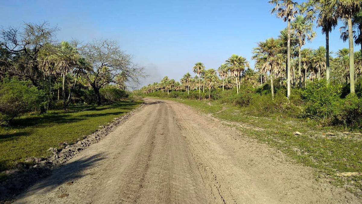 3200 Hectáreas en Departamento Pilcomayo Formosa
