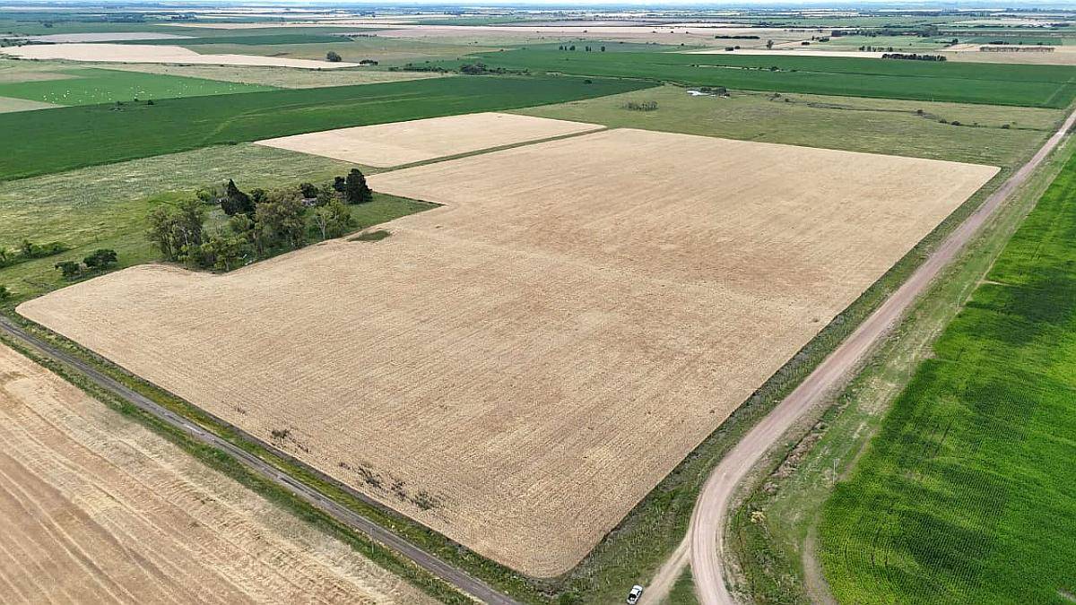 Campo Agrícola Sobre Ripio