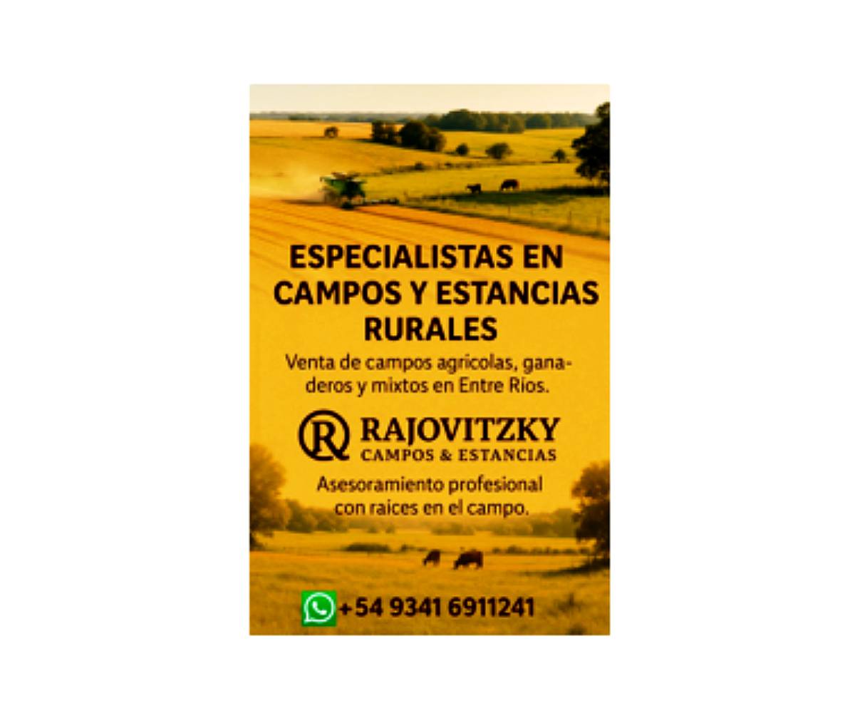 Oportunidad de Negocio Consulte