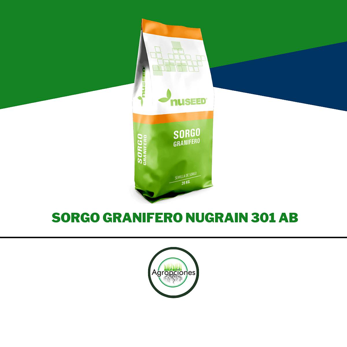 Semilla de Sorgo Nugrain 301 AB Tolerante a Pulgon
