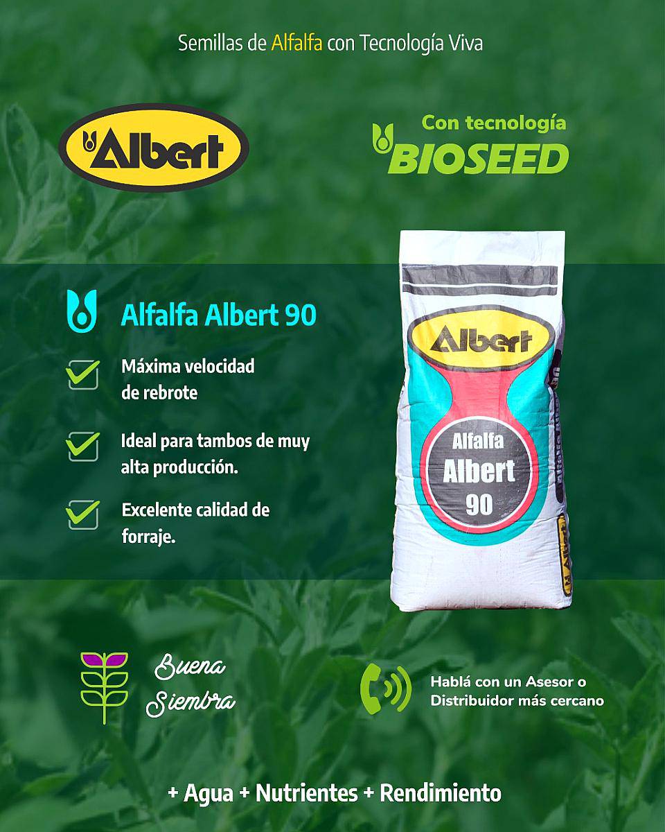 Alfalfa Albert 90- Grupo 9