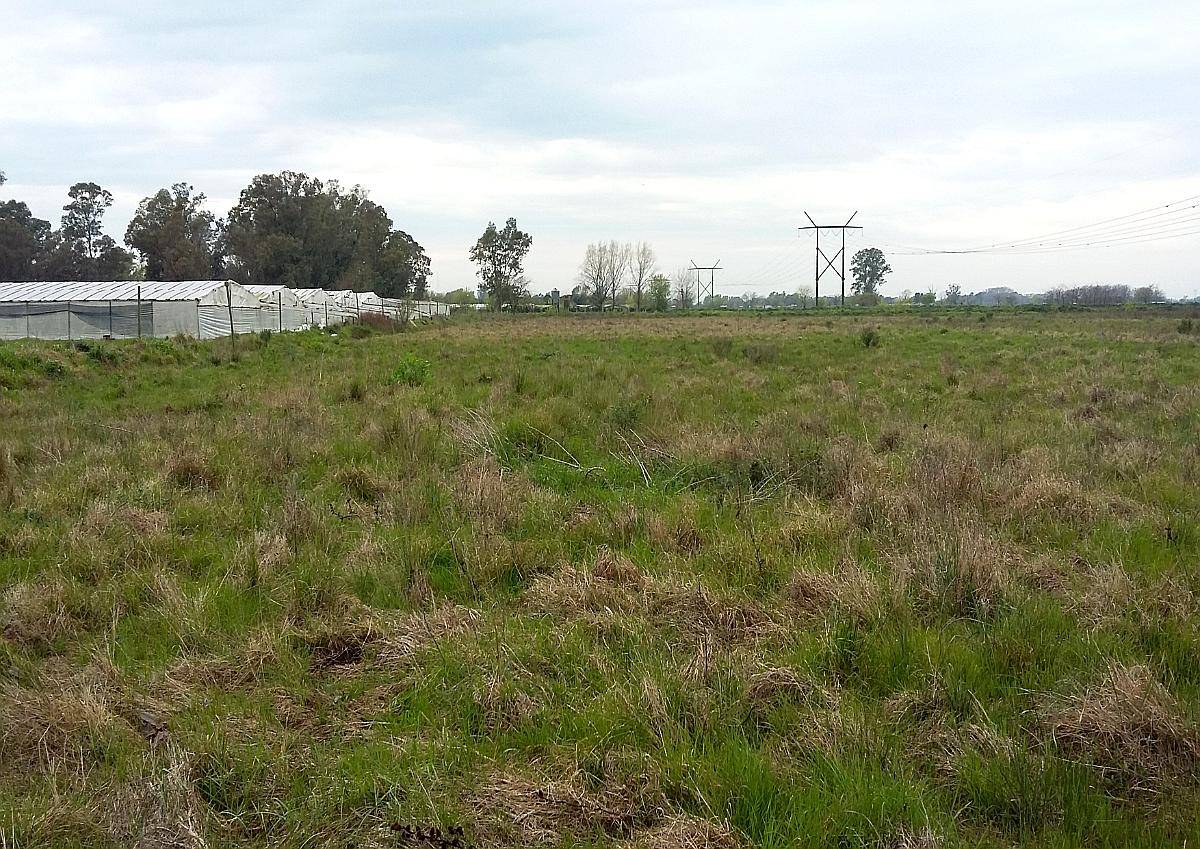 Campo en Venta en Zona Hortícola de la Plata