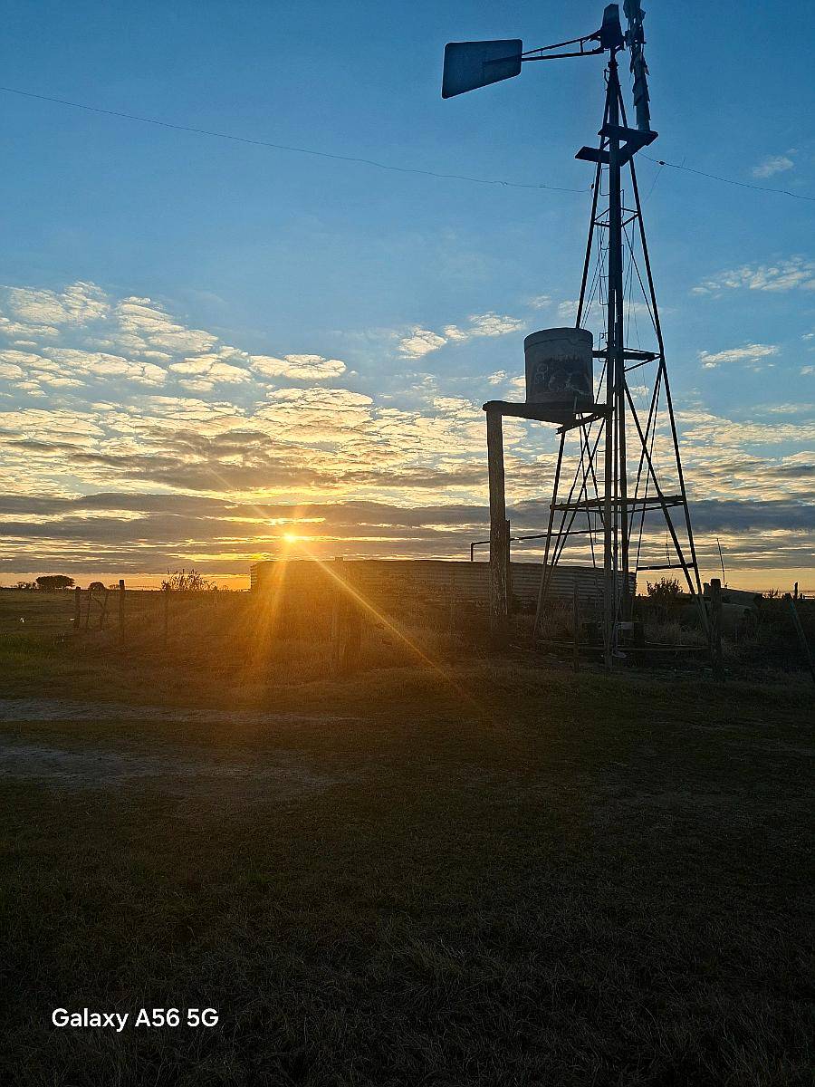 Venden 132 Ha Dep. las Colonias.( Virginia)