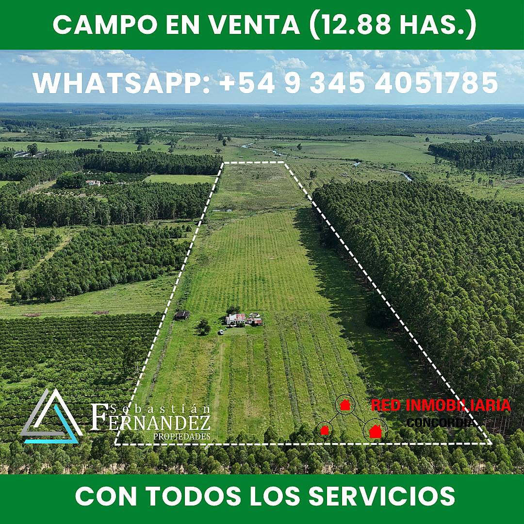 Campo en Venta, Zona Citricola/forestal Cerca de Zona Urbana