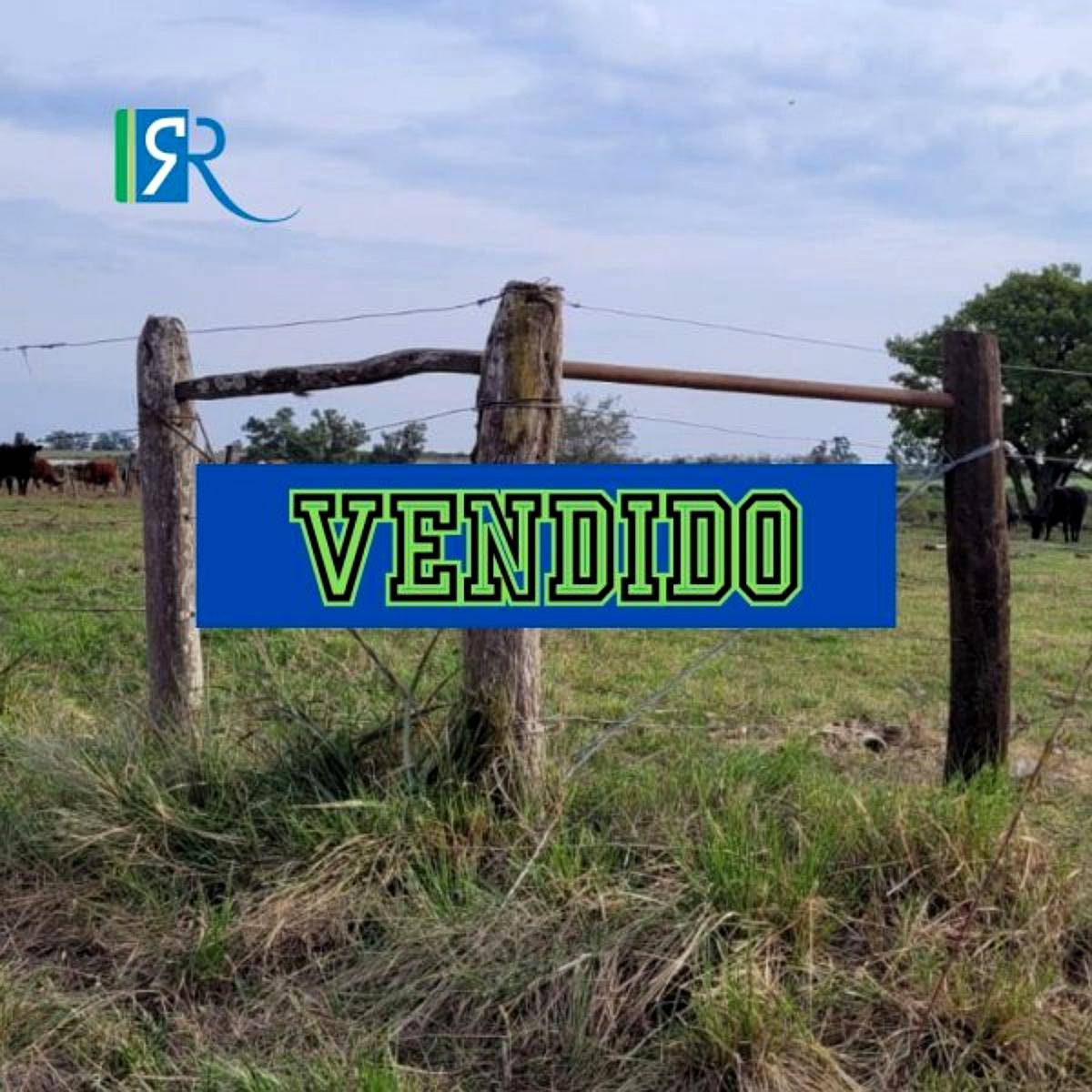 100 HA. en Dto. Uruguay