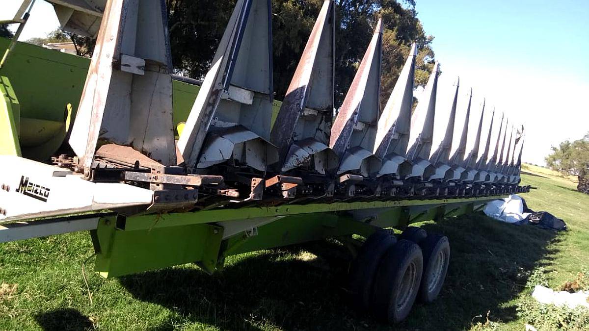 Maicero Maizco de 15 a 70