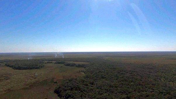 Selvas del Rio de ORO - 1432 Ha - Chaco