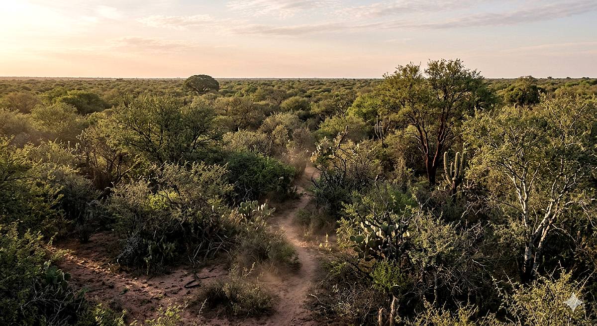 Quimili a 14 km de Ruta 5 700has Ganaderas Aptas Agricultura