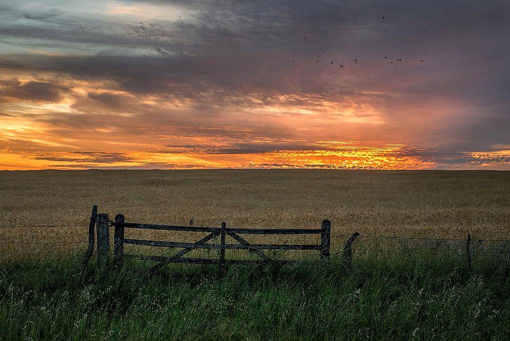Campo Sobre Ruta muy Bueno