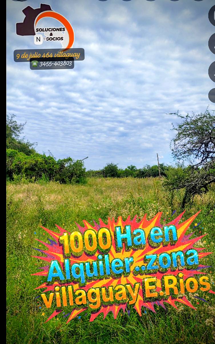 Capo Ganadero en Arriendo