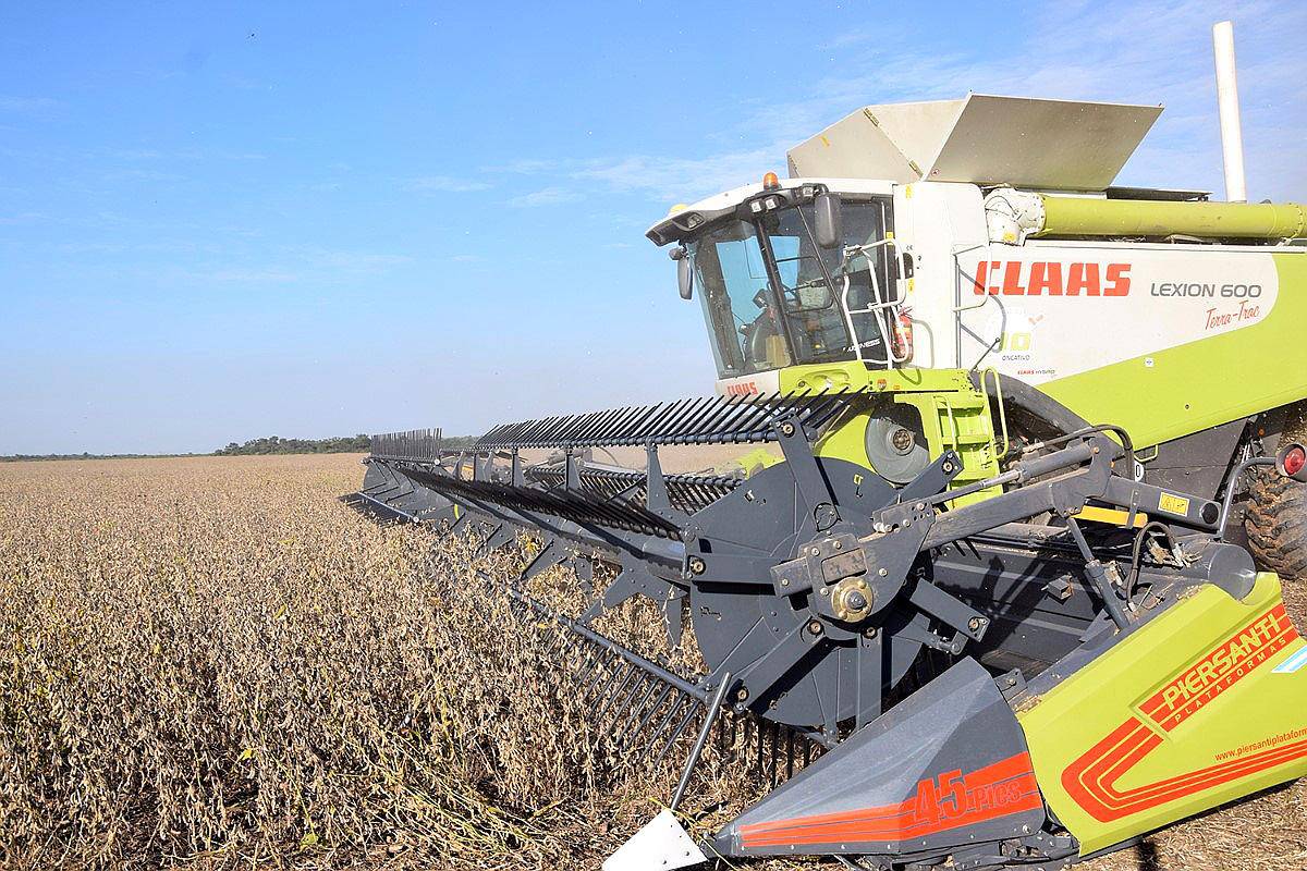 Cabezal Lona / Draper Piersanti Plataformas 45 Pies Nuevo